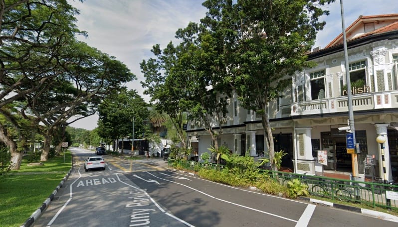 Semi-Detached Home In Tanglin Fetched $8.4 Million In Resale Gains In November 