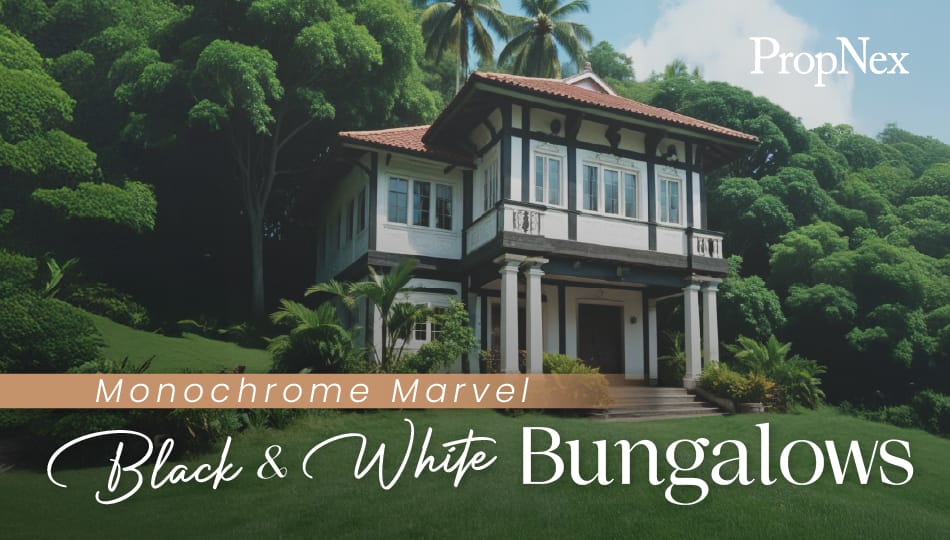 Monochrome Marvel: Black and White Bungalows
