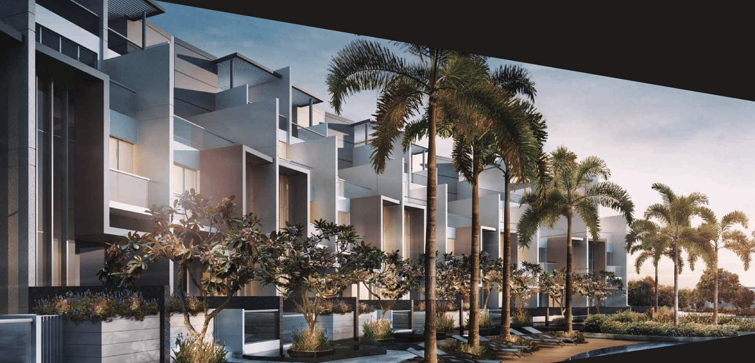 Skies Miltonia Pictures and Artist Impression
