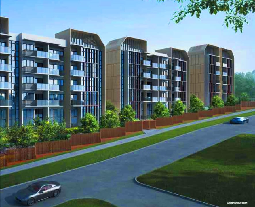 The Gazania Pictures and Artist Impression