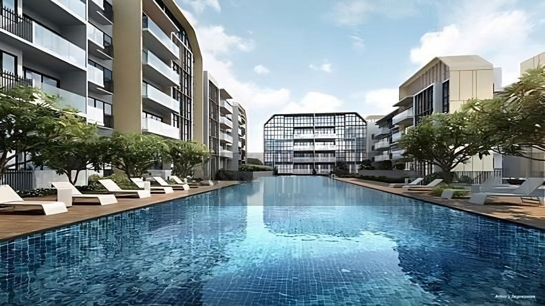 The Gazania Pictures and Artist Impression