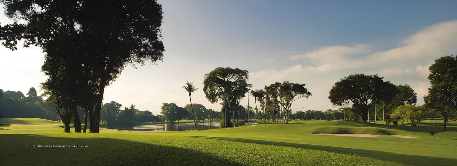 The Green Collection  Pictures and Artist Impression
