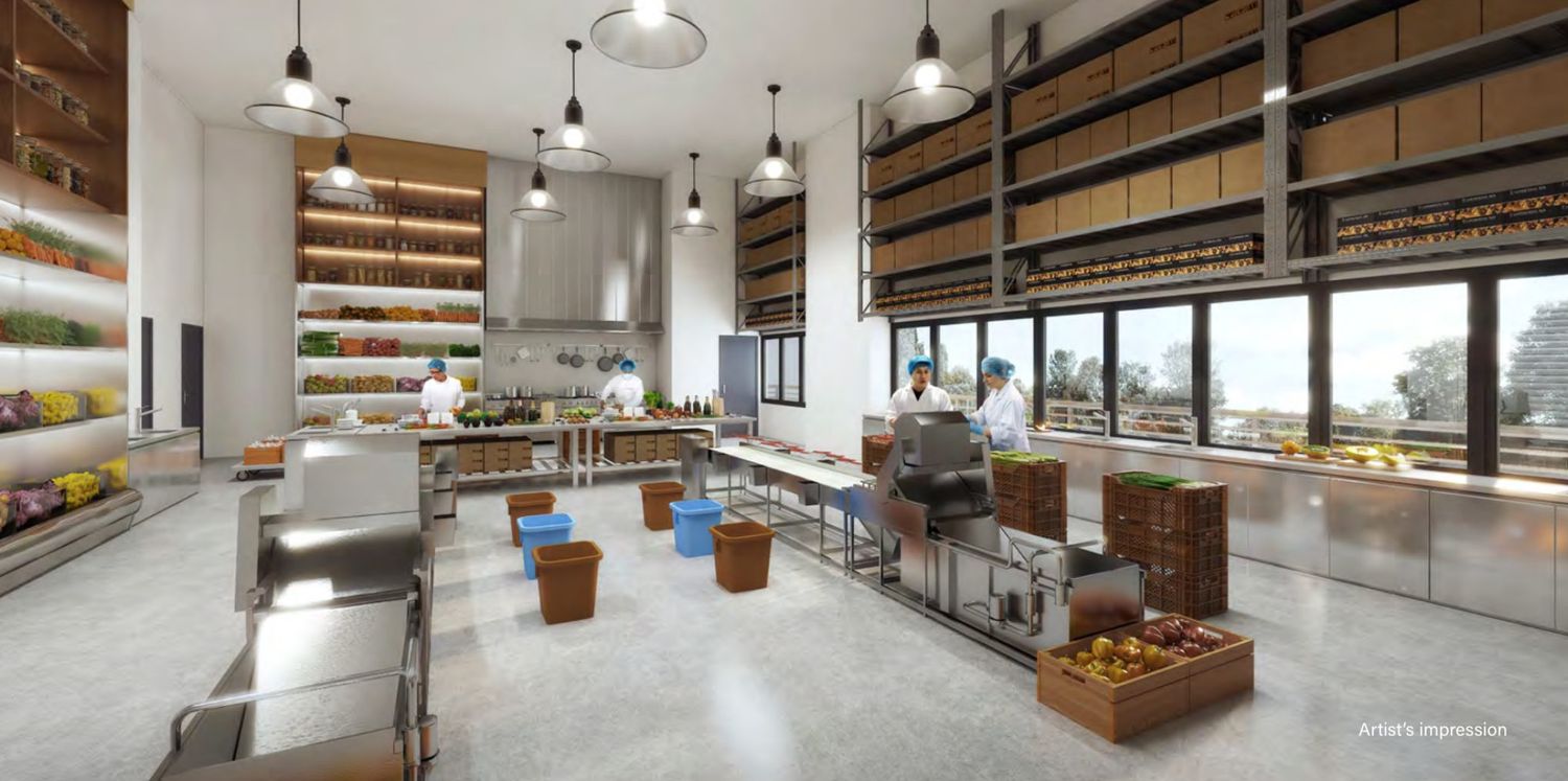Food Vision Pictures and Artist Impression