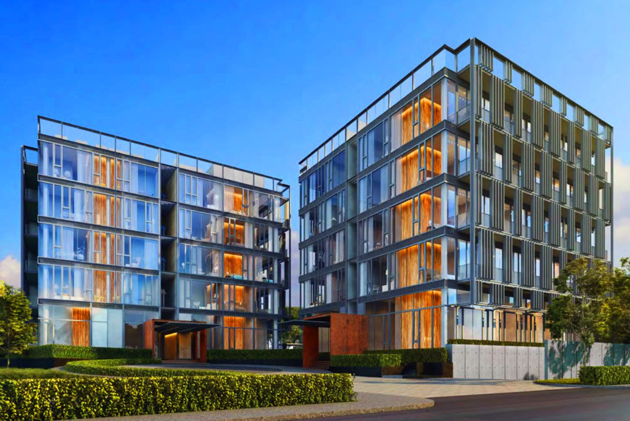 Petit Jervois Pictures and Artist Impression