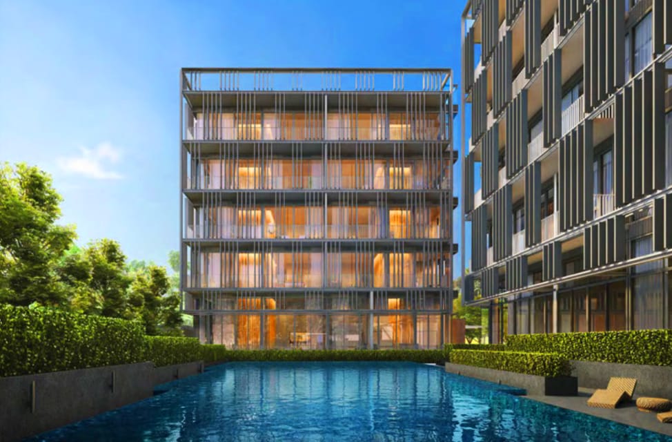 Petit Jervois Pictures and Artist Impression