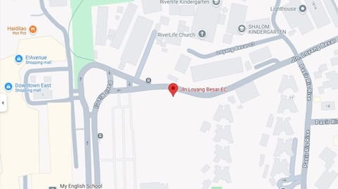 Jalan Loyang Besar Executive Condo