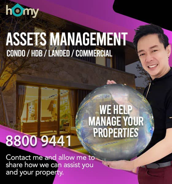 Assets Management Infographics